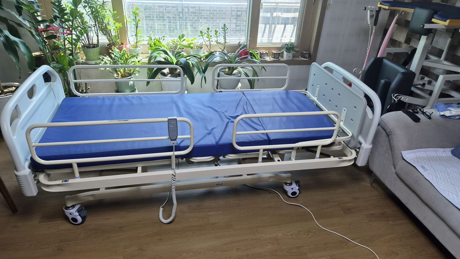 경북 전동침대대여 안내용 참고사진 - 거실 창가에 설치된 파란 매트리스 전동침대